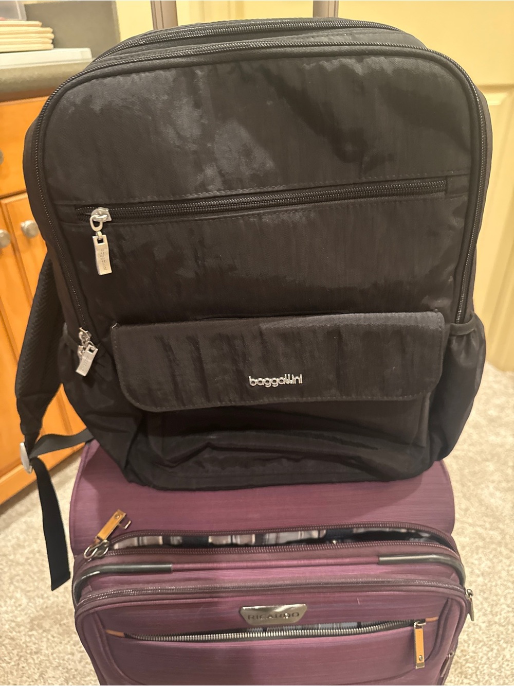 Baggallini Black Everyday Backpack with Front Pocket